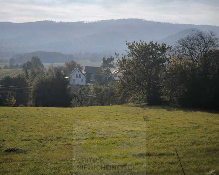 Działka Sprzedaż Grodziszcze