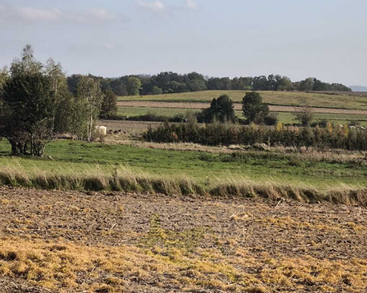 Działka Sprzedaż Grodziszcze