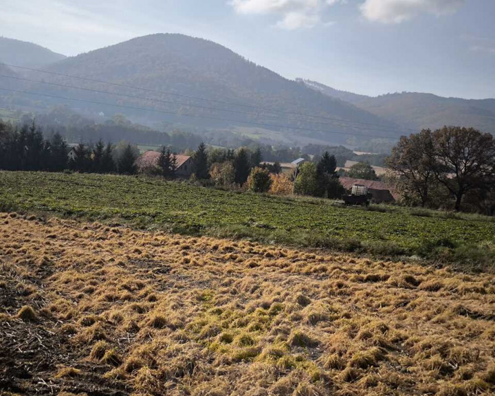 Działka Sprzedaż Grodziszcze